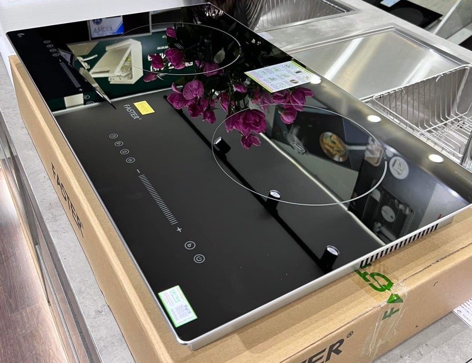 Bếp từ Faster FS 389I