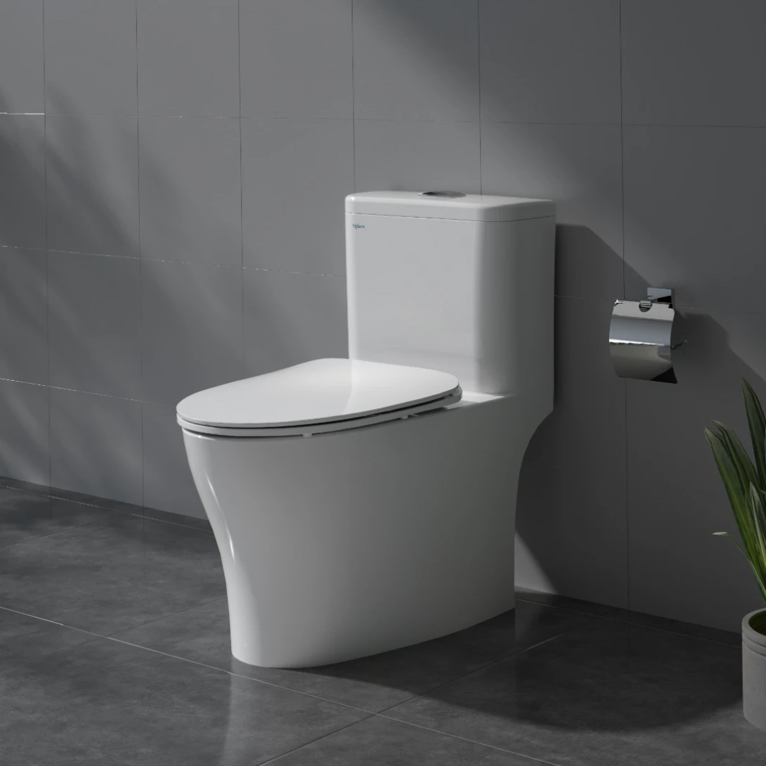 Bồn Cầu Viglacera V63 Nắp Êm V687 Tặng Vòi Xịt VG826